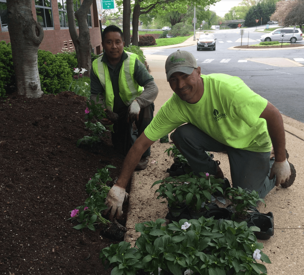 Landscaping Salary / Owning a Landscaping Business Owner Salary & Duties Thinking of