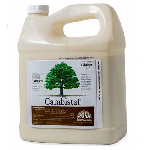 0003042_cambistat-plant-growth-regulator-pgr-rainbow-treecare