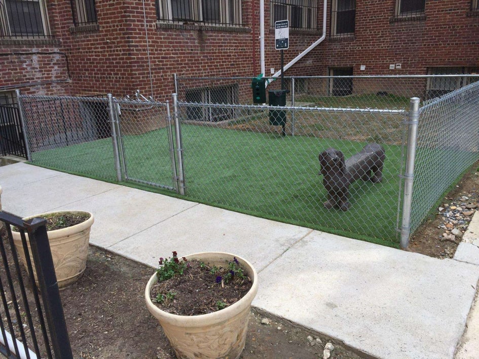 Artificial turf area for dog