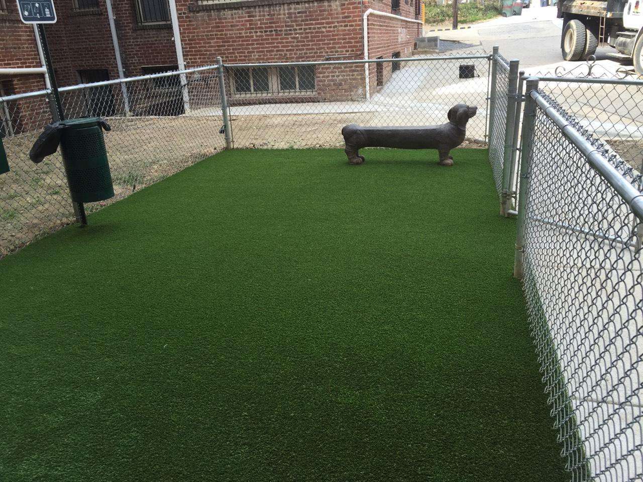dog area with artificial turf