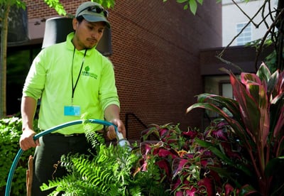 Level Green Landscaping employee providing landscape maintenance