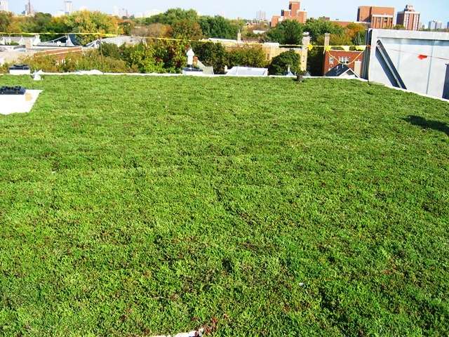 Green Roof on top of data center