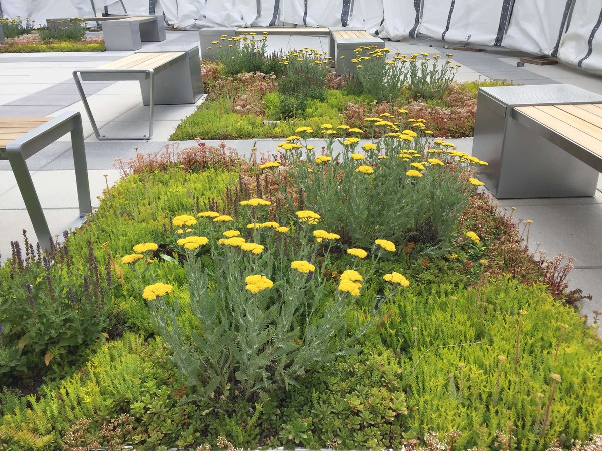 green roof with flower beds and benches