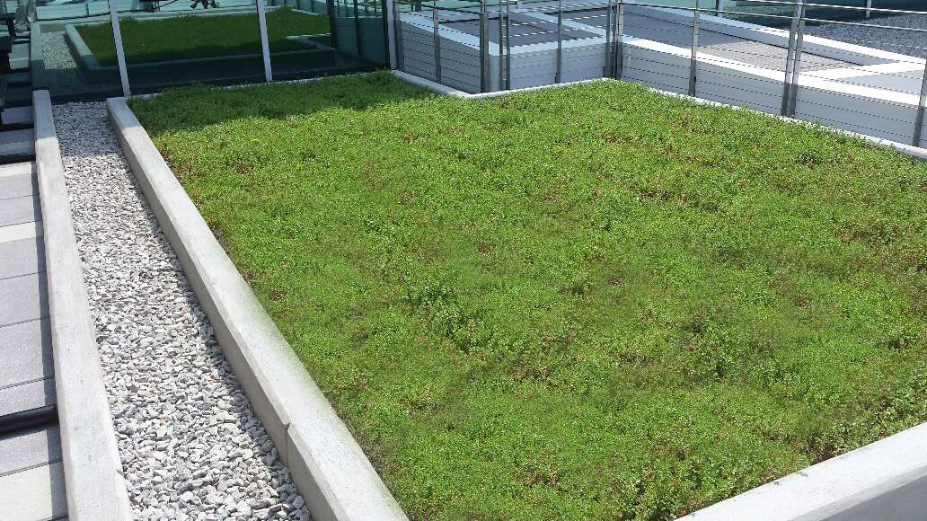 green roof with white gravel