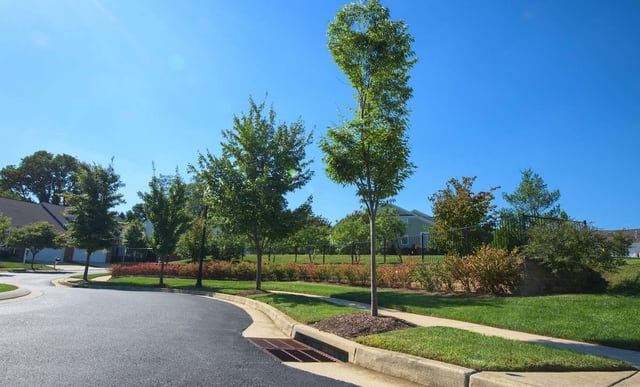HOA Landscaping Services