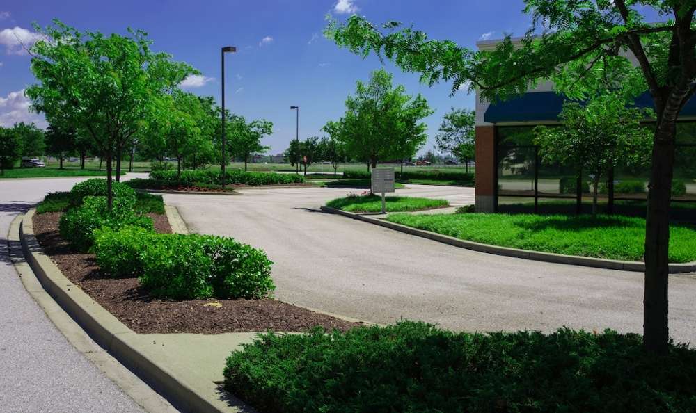parking lot island landscaping