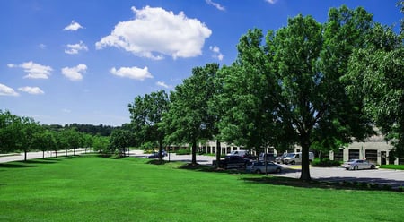 commercial lawn care in DC