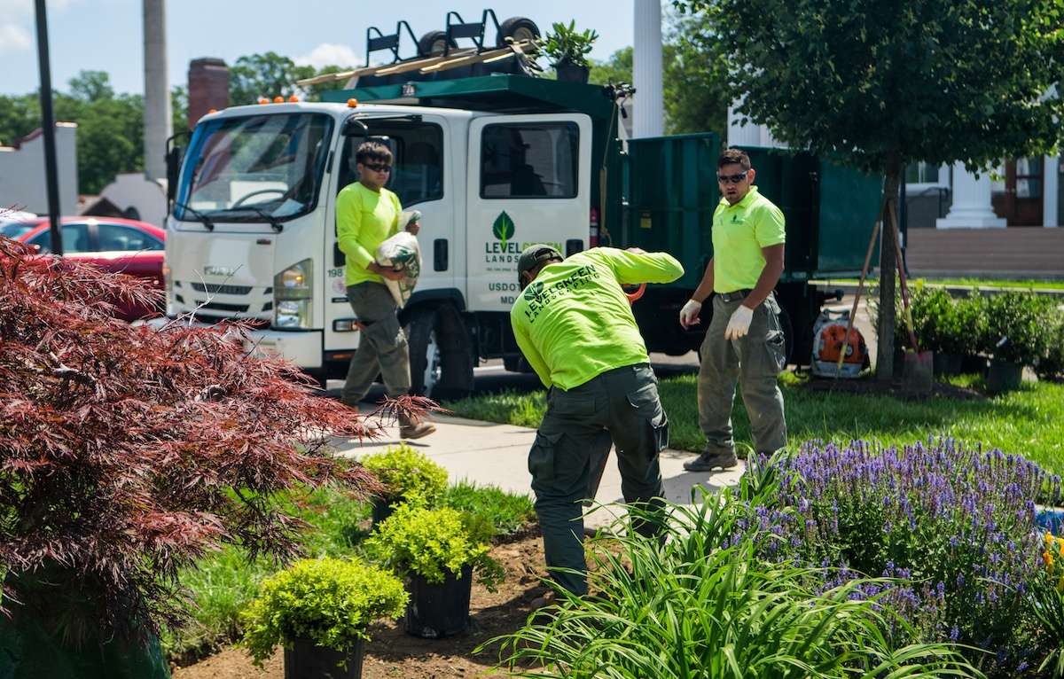 Commercial landscape maintenance by Level Green Landscaping