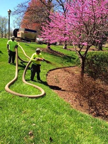 landscapers using mulch blower