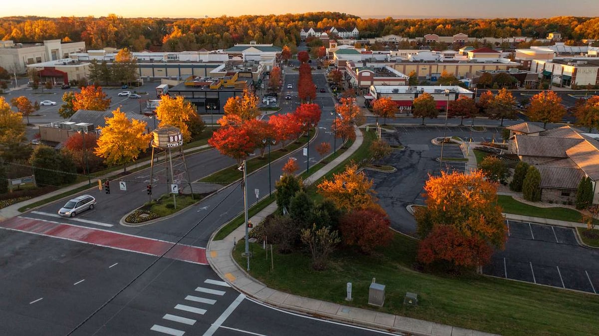 aerial photo of trees around bowie town center