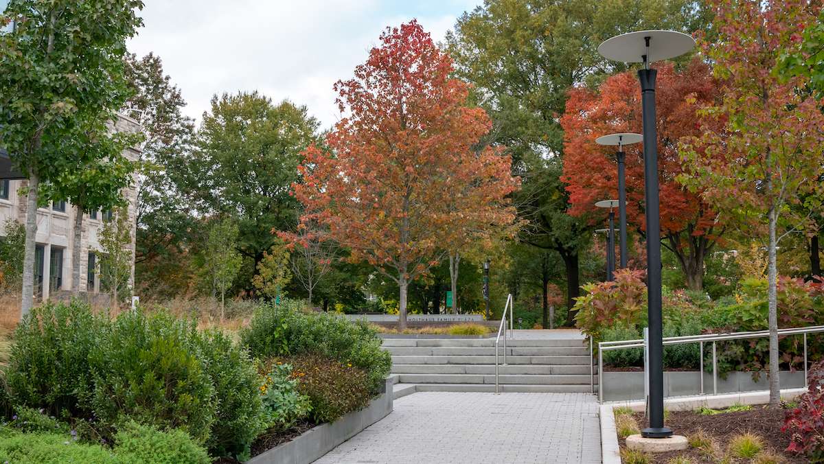 landscape at university in fall
