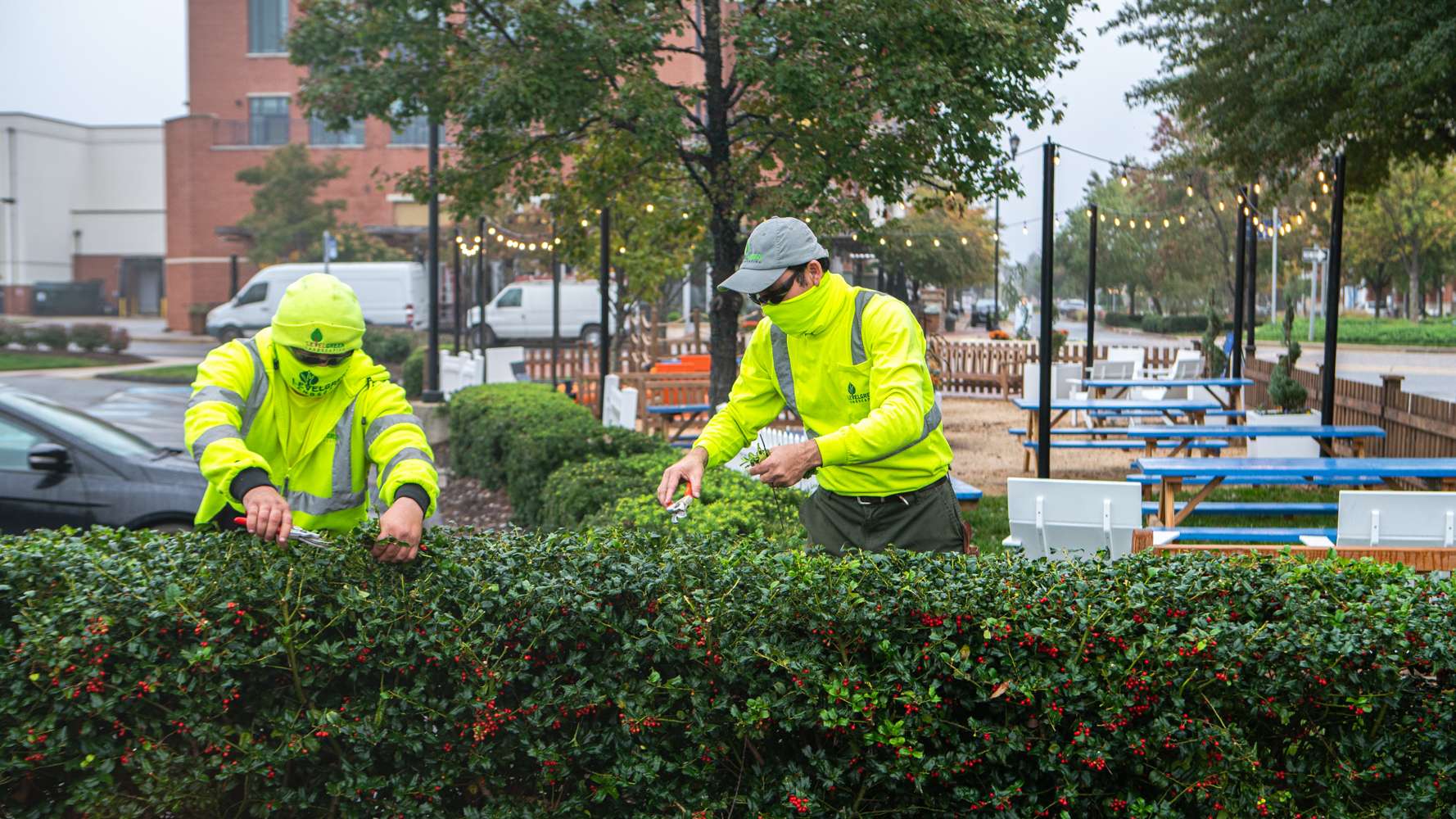 commercial landscaping crew trimming shrubs