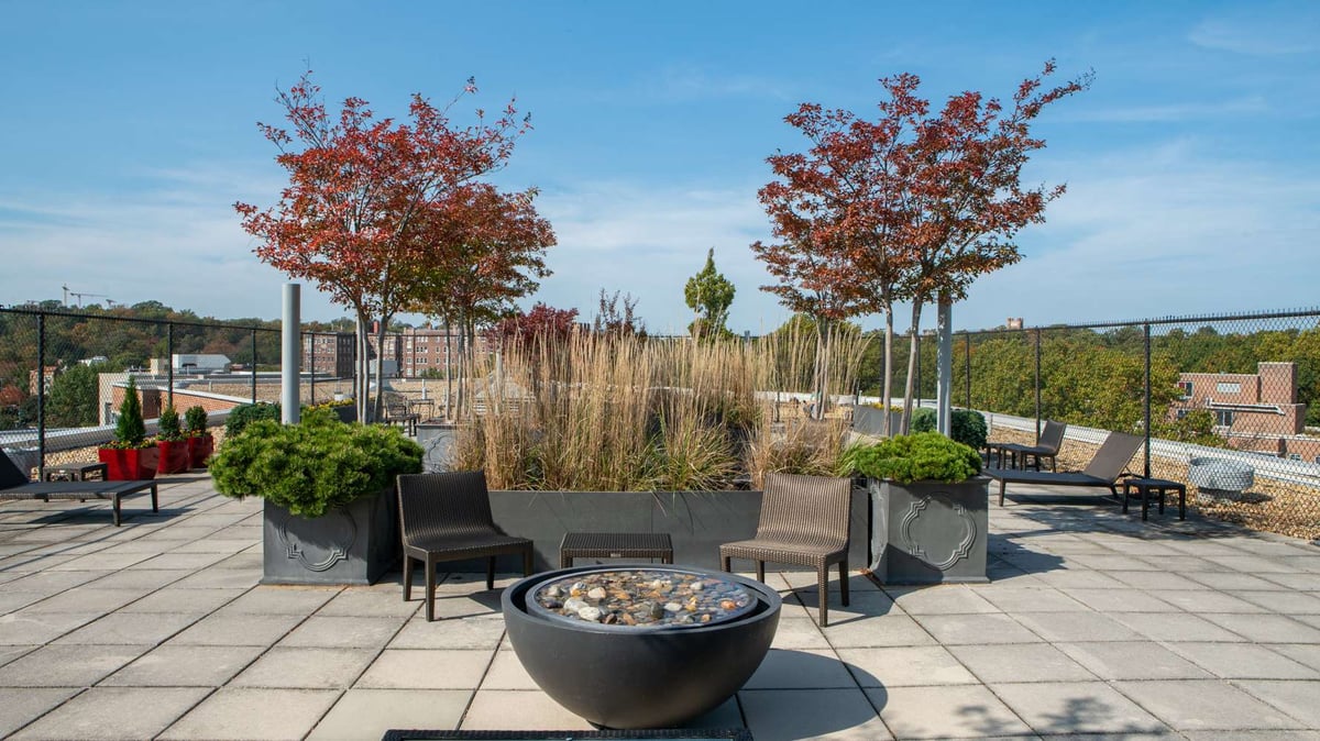 green roof with fire bowl and container gardens