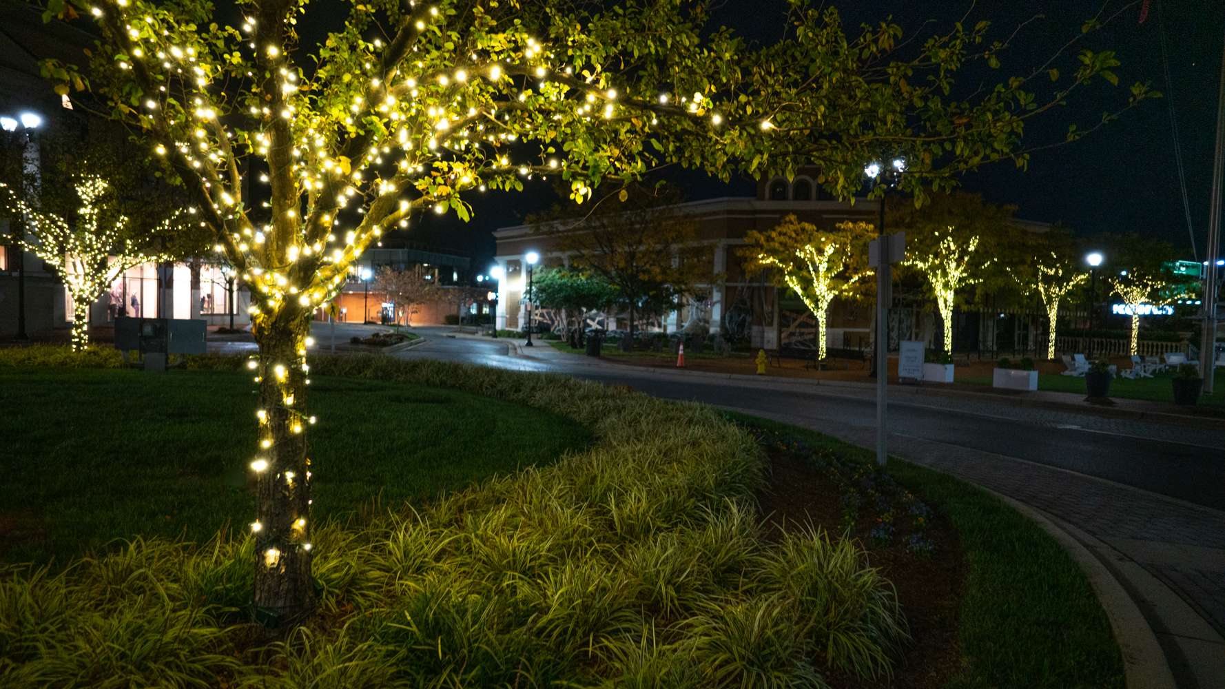 LevelGreen shopping center tree lighting lights landscaping lawn perennials grasses 2
