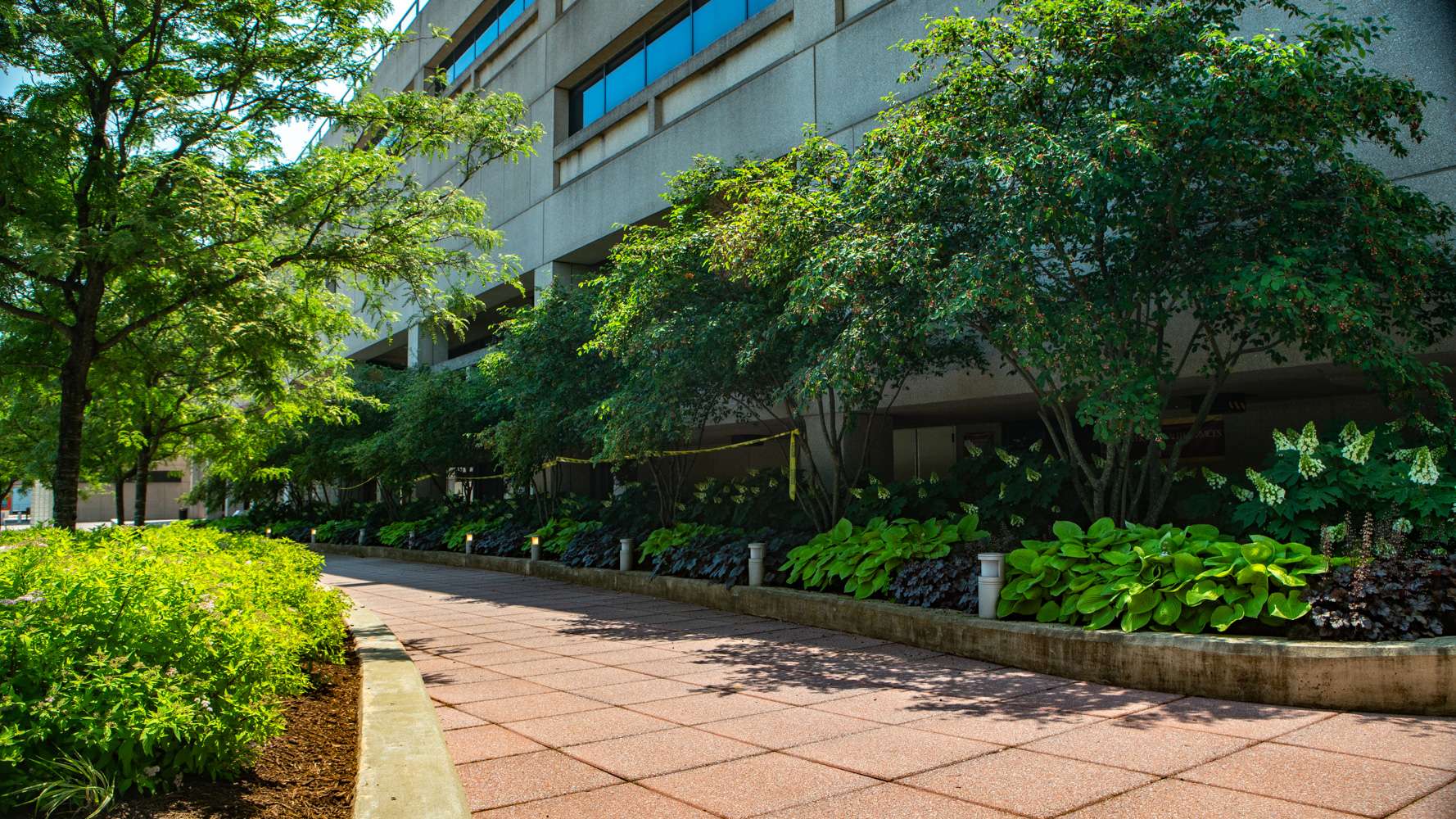 Commercial landscaping Howard University Hospital pavers seating trees, shrubs, lighting 