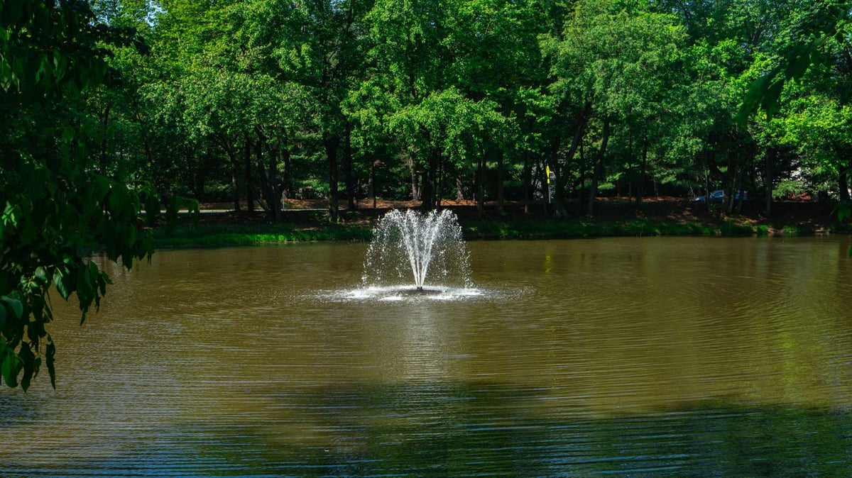 retention pond with fountain