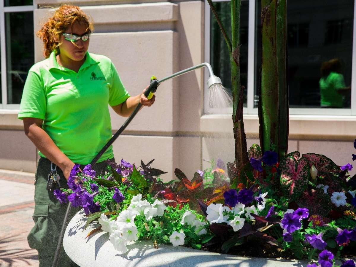 female crew watering flowers