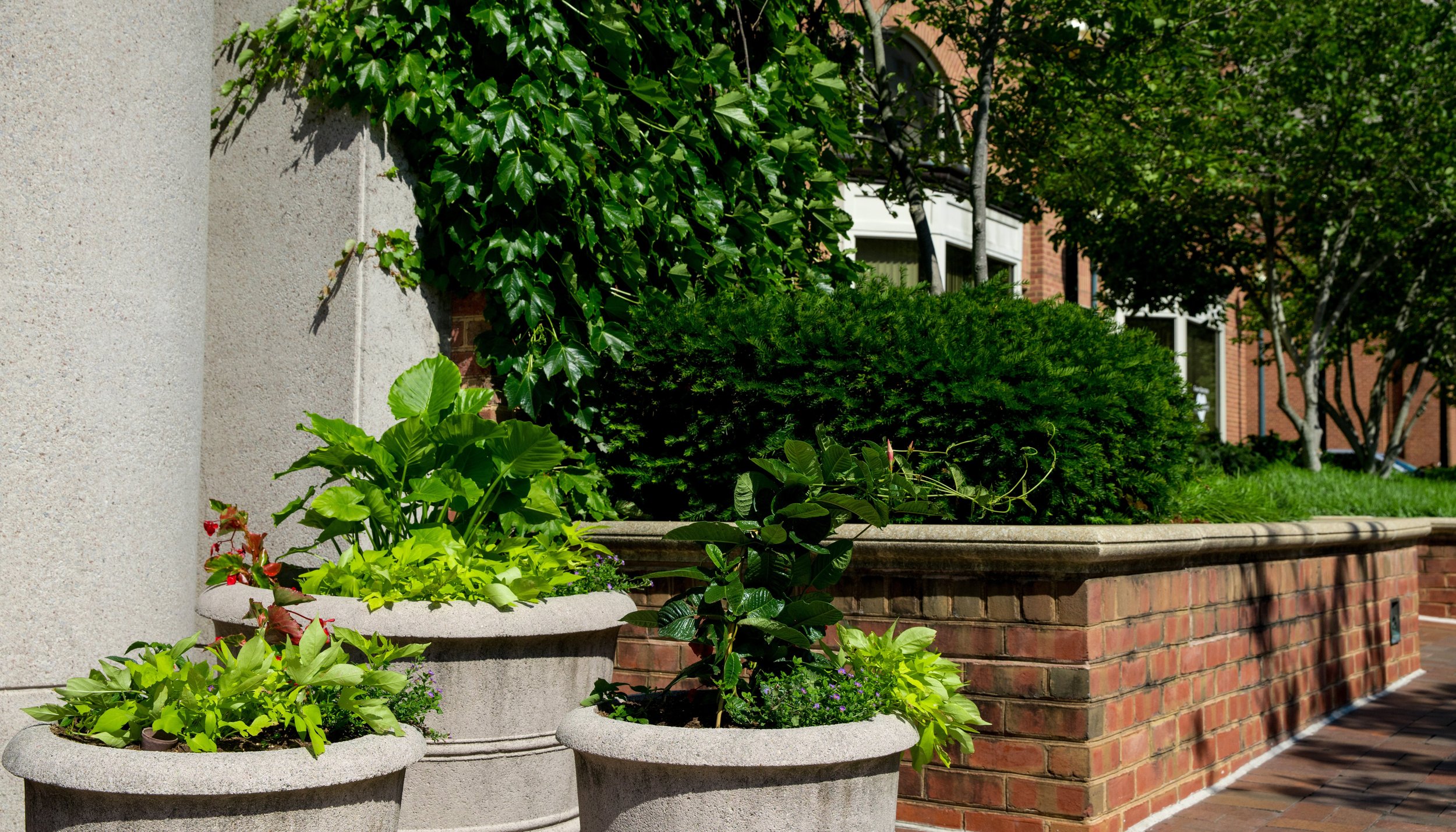 The Best Landscape Design Ideas For Brick Buildings