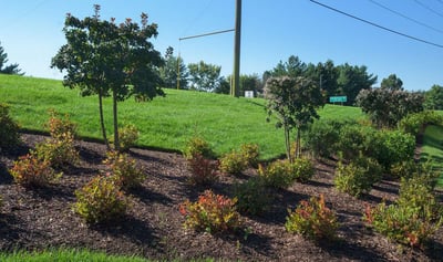 Mulch bed edging on commercial landscape