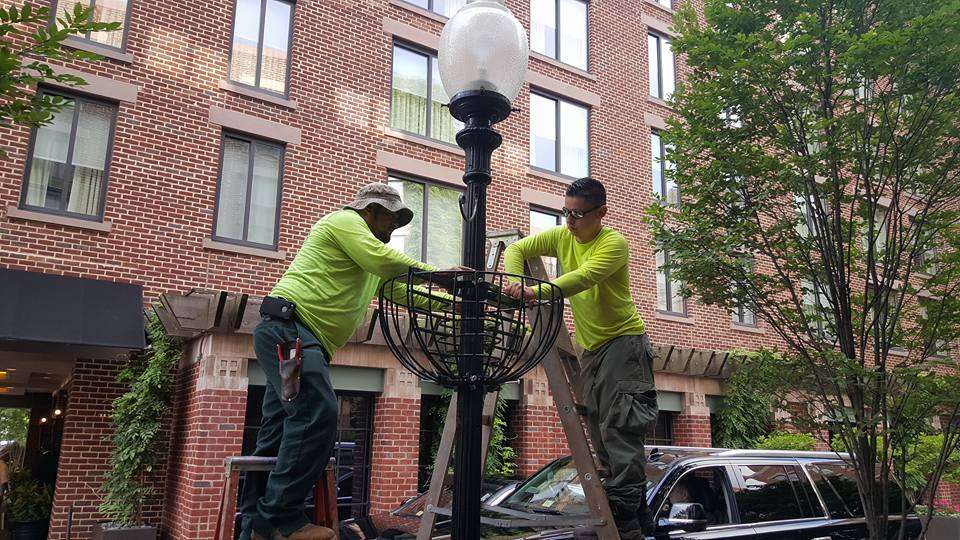 What Landscaping Jobs are Available With No Experience?