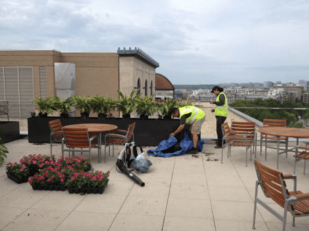 Landscaping Jobs in DC