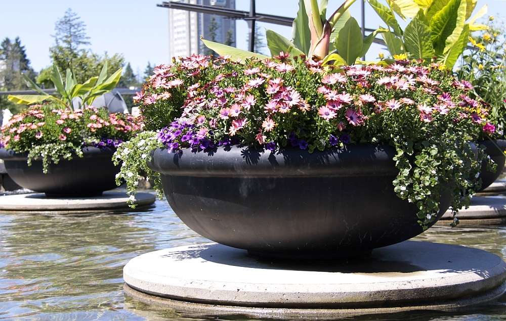seasonal flowers planted for fall in containers at commercial property