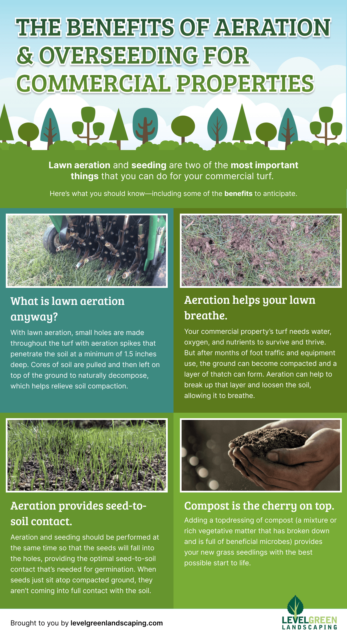 Aeration and Overseeding Infographic by Level Green Landscaping