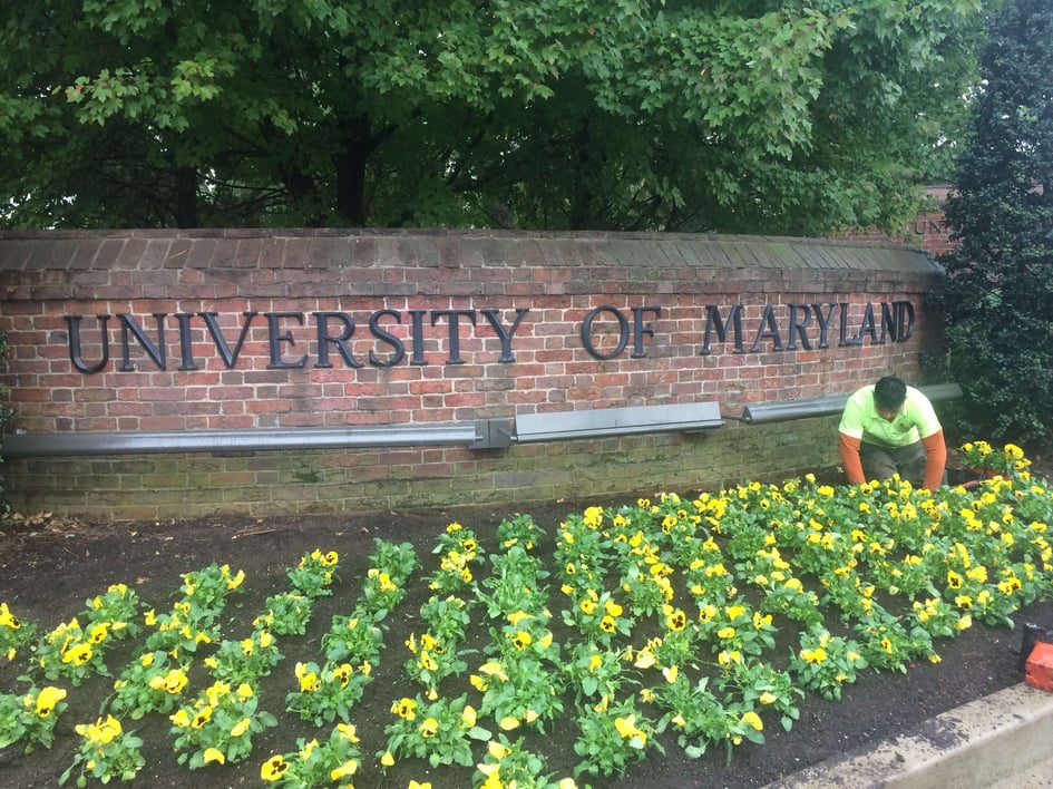 Horticulture plantings in front of University of Michigan sign