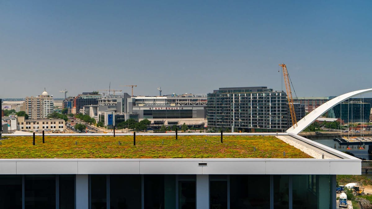 green roof on top of commercial building