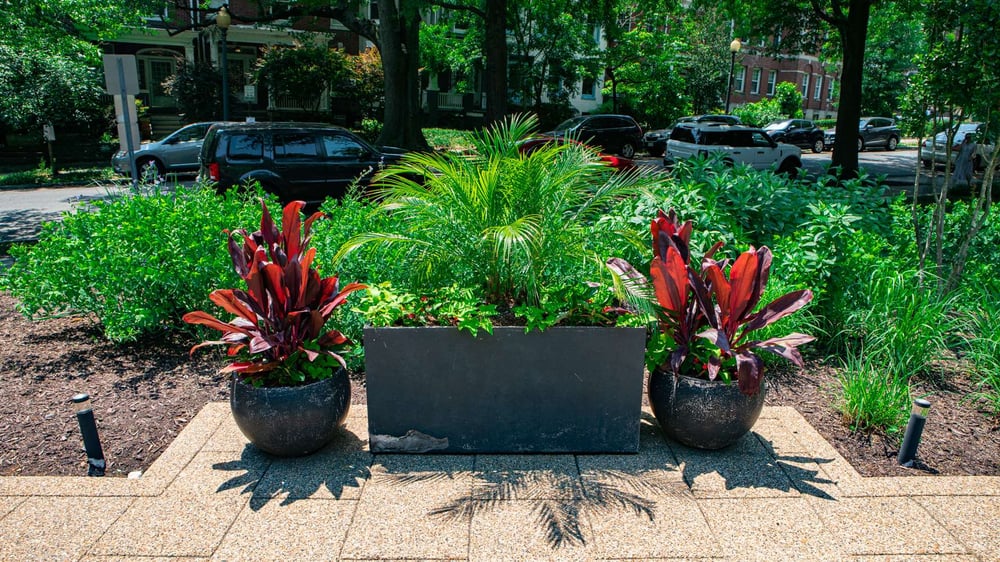 large container gardens for landscaping