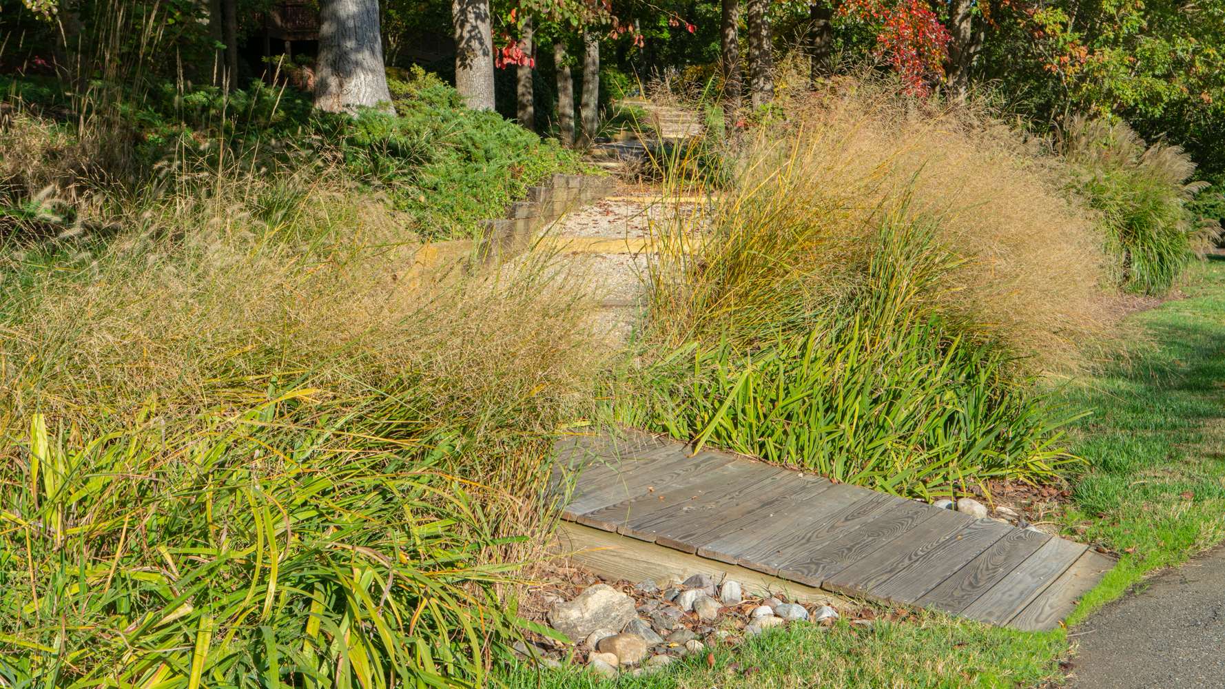 walkway with perennial grasses