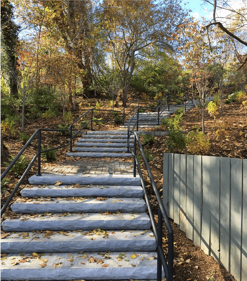 stone steps with fallen leaves