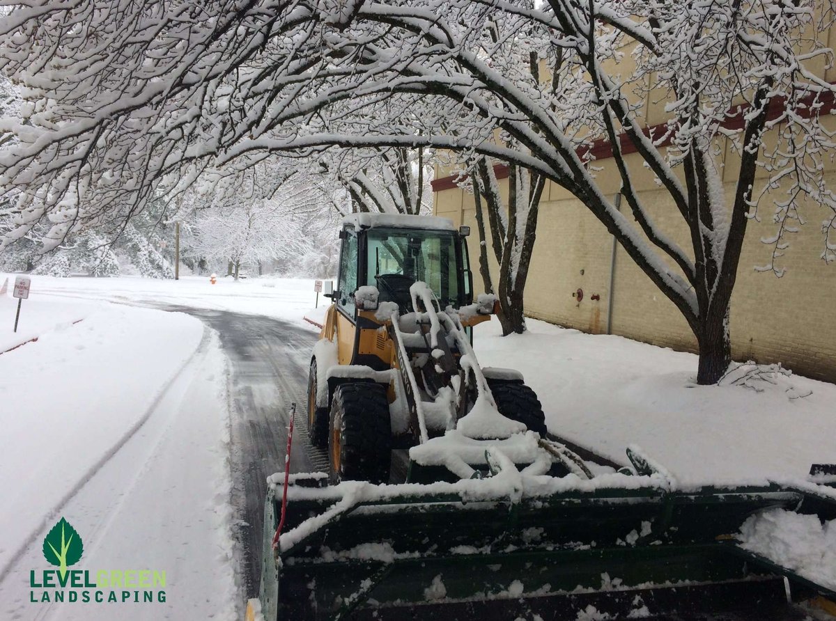 machine removes snow on roadway under trees