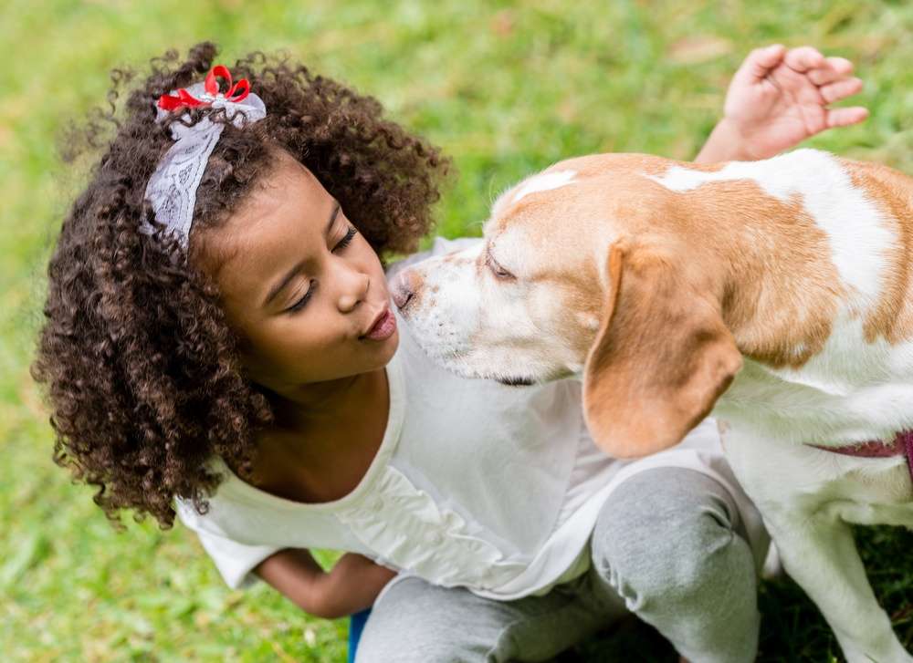 child with cute dog on grass