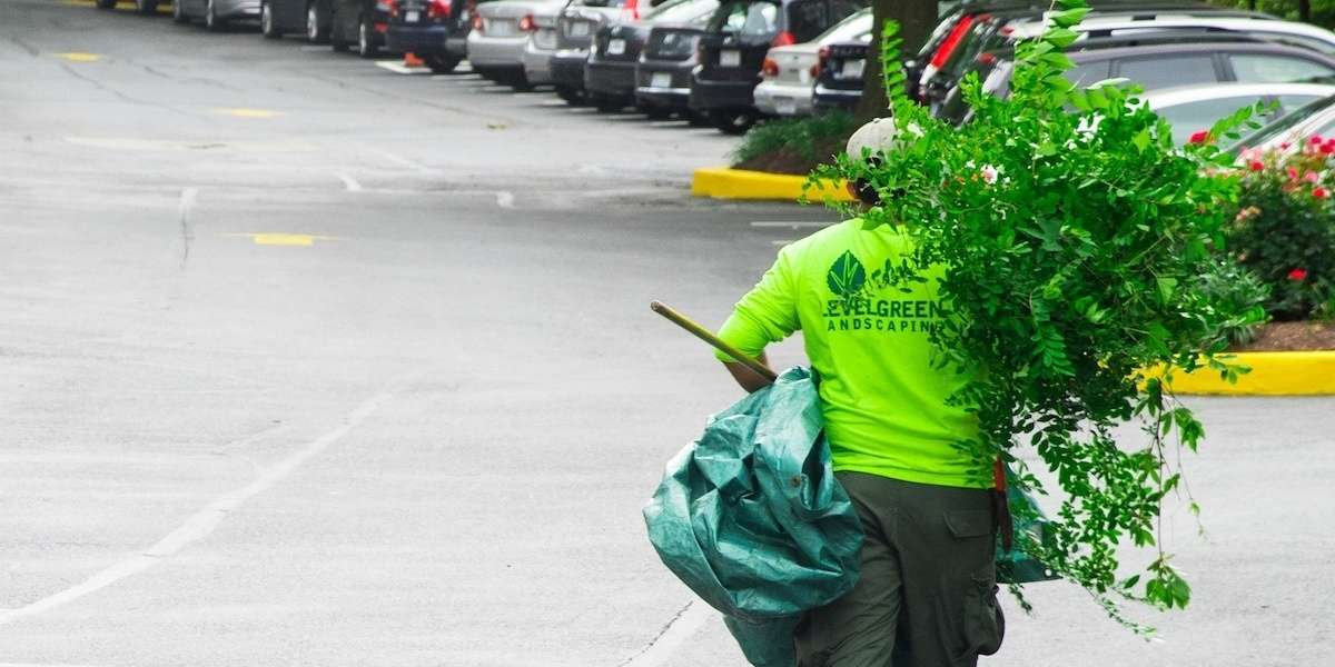 landscaper carrying branches clean up
