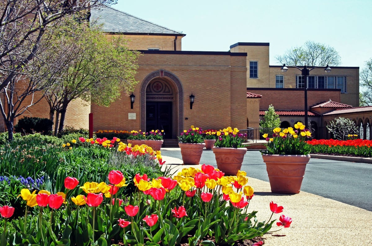 Franciscan Monastery Tulips in Spring