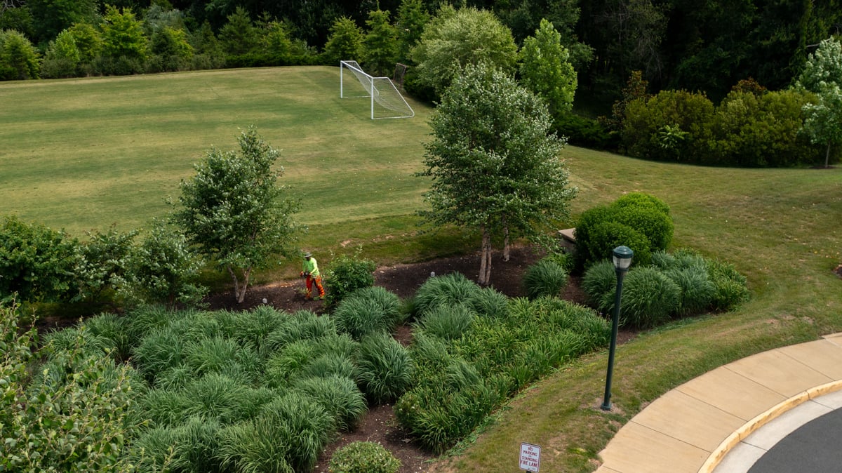 landscape maintenance team trims bushes in landscape bed