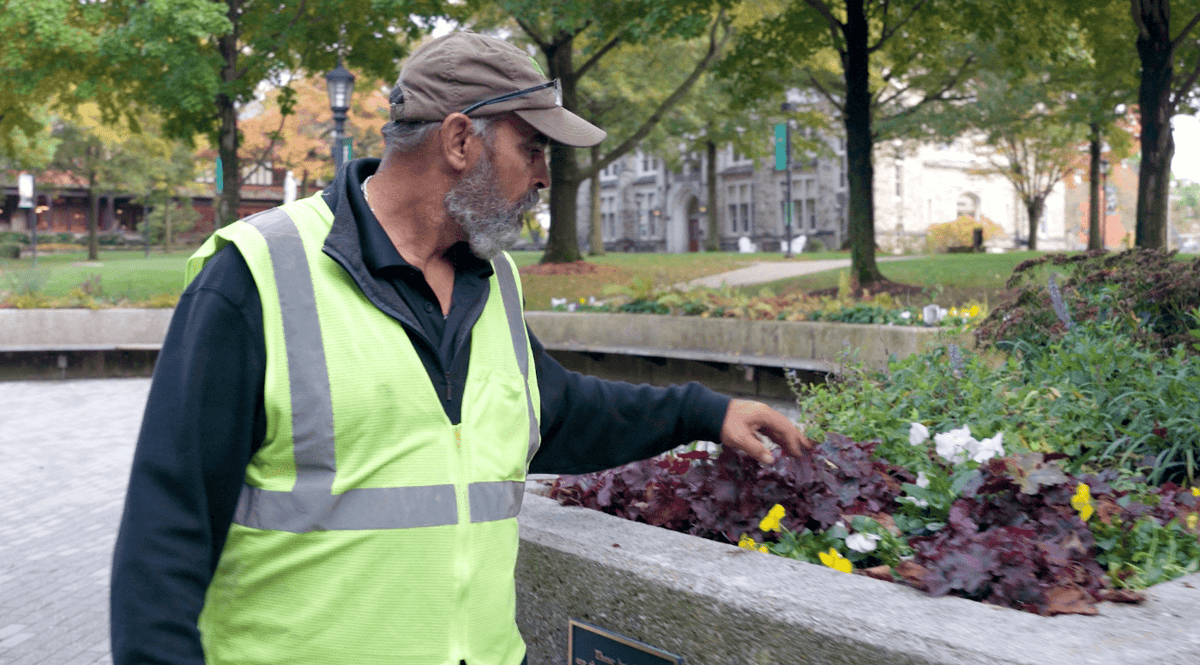 landscape expert inspects plants on college campus