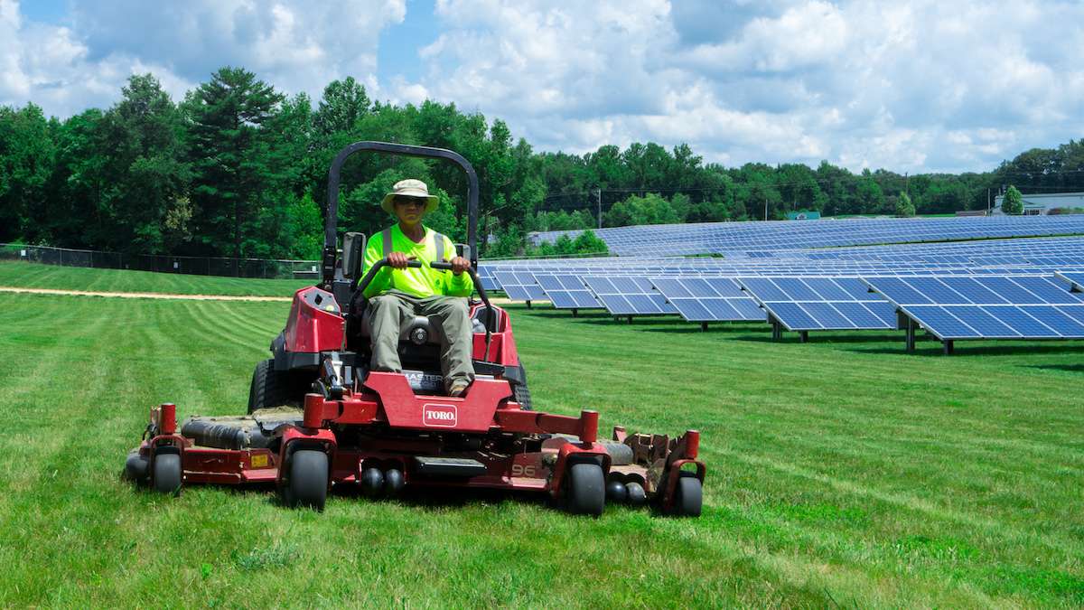 landscape crew mows lawn near solar panels