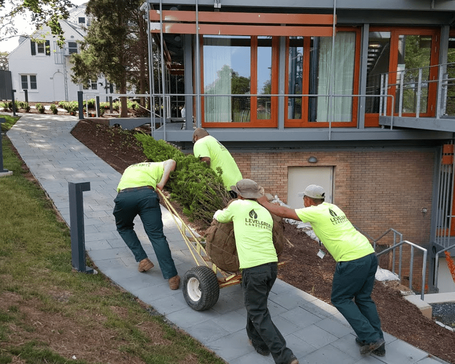 The 5 Best General Labor Jobs in Washington DC