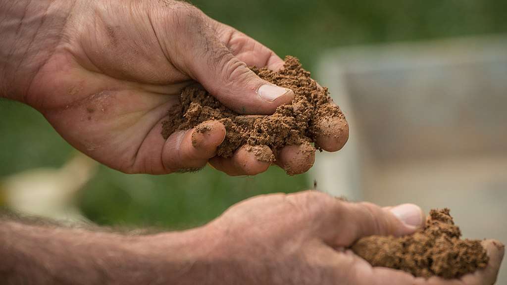 What Causes Soil Compaction (And How You Can Reduce and Prevent It)