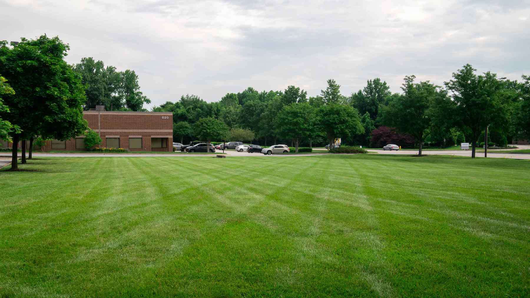 Everything to Know About Commercial Turf Fertilization Programs