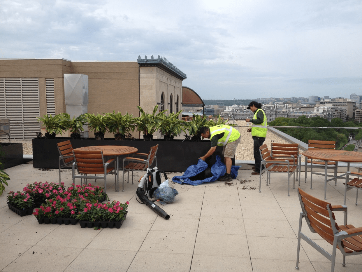 Commercial Landscaping Jobs: Comparing Challenges and Opportunities