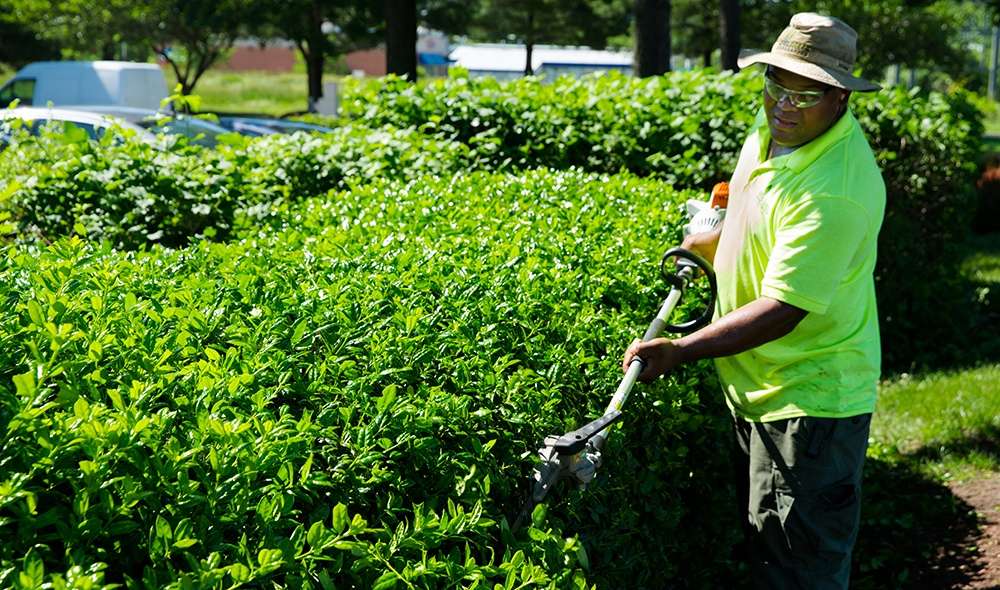 6 Proactive Commercial Landscaping Services to Prevent Future Problems